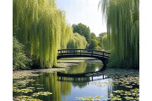 Jardins fleuris de Giverny au printemps avec le célèbre pont japonais et les nénuphars de Monet.